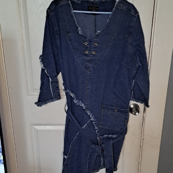 Ashley Stewart Dresses & Skirts - Denim Button-Front Tunic Dress with Frayed Trim